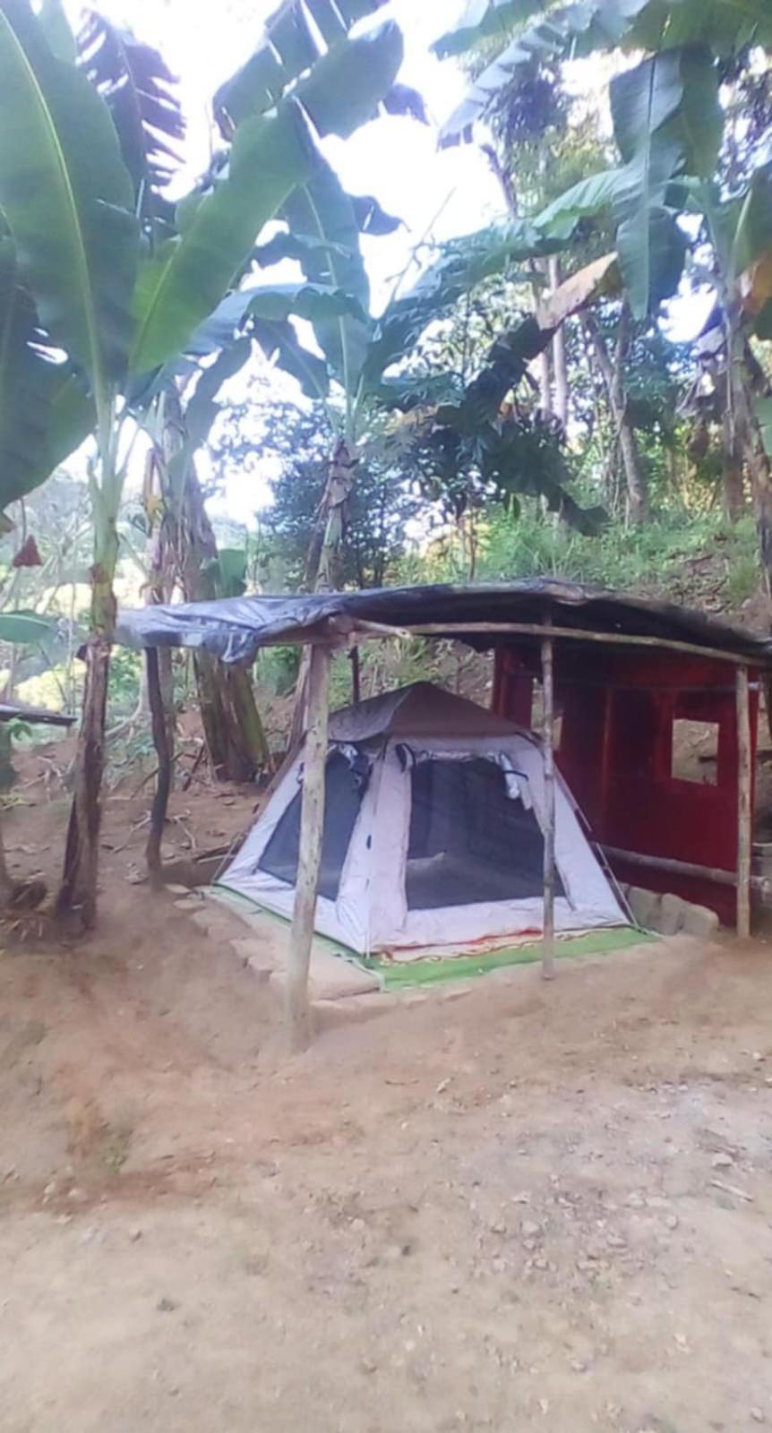 Eastdee Camping Ground Lidlidda Dış mekan fotoğraf