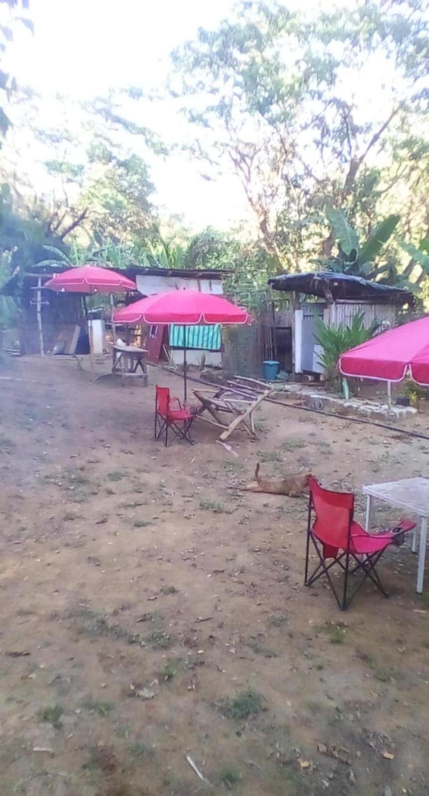 Eastdee Camping Ground Lidlidda Dış mekan fotoğraf